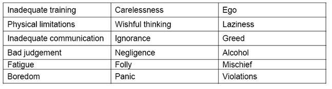 20090405 Fig Causation Factors1.jpg